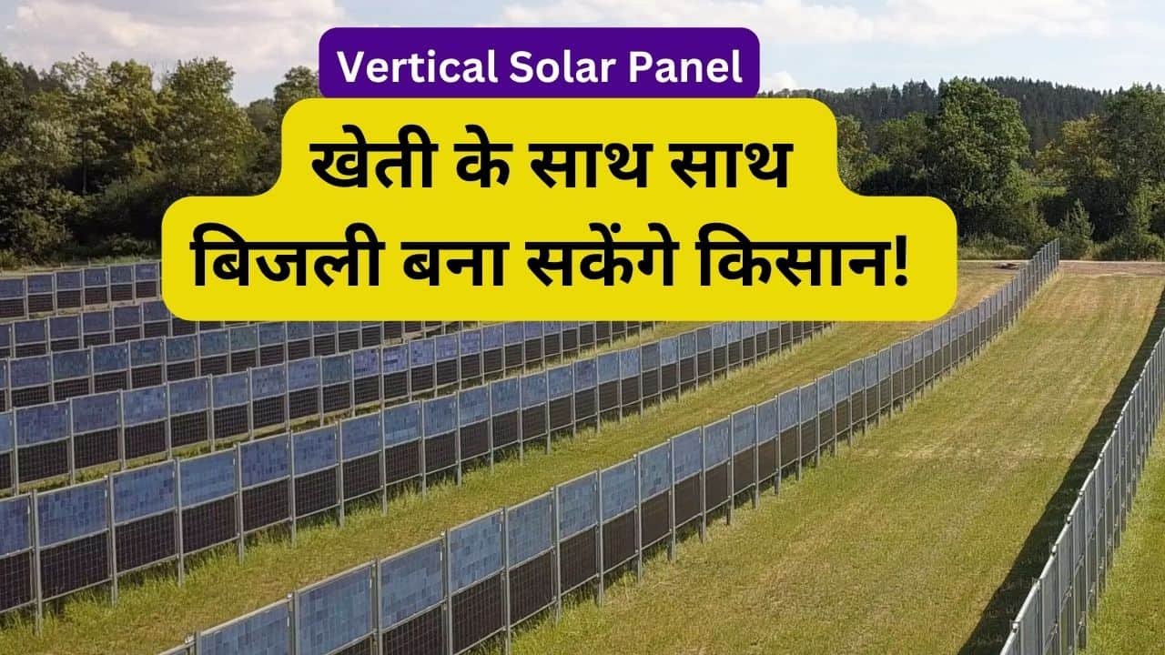 Vertical solar panel for farmer