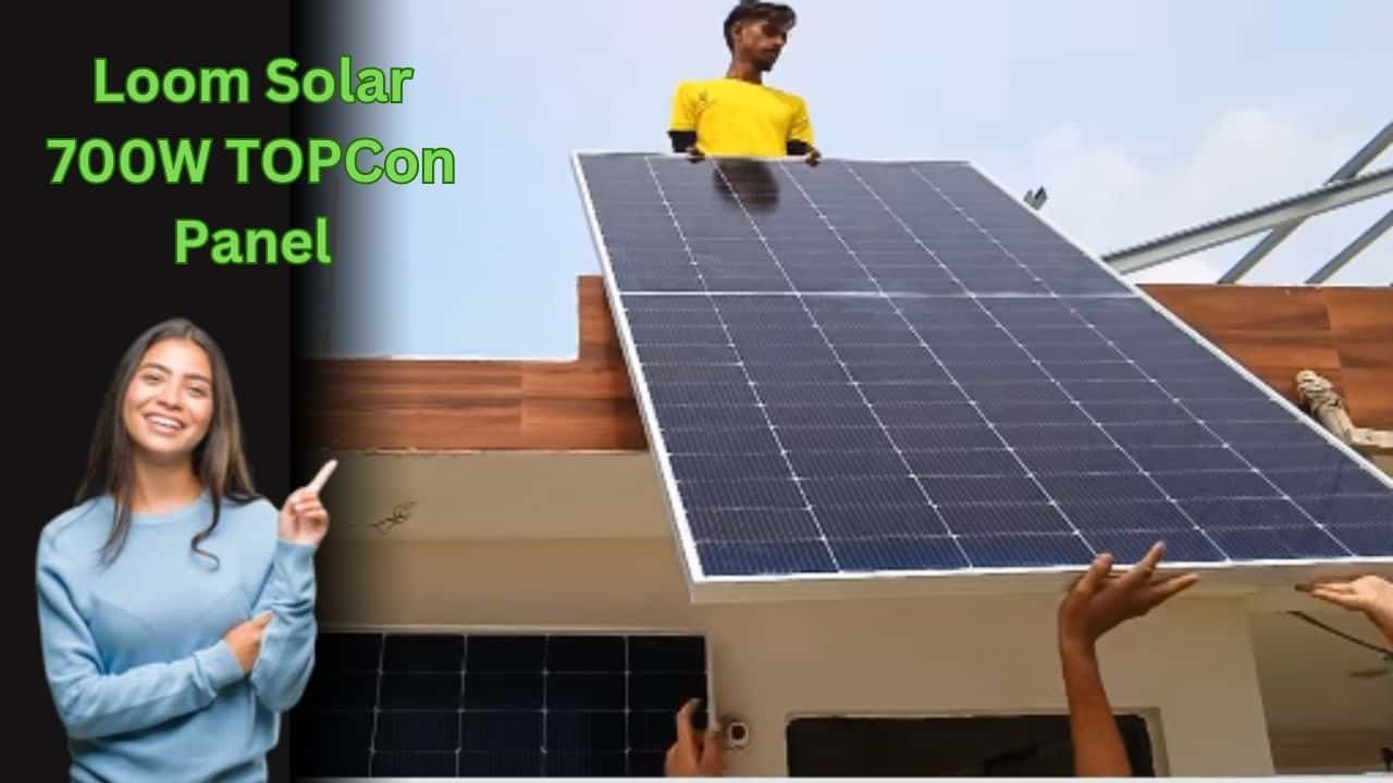 loom solar 700w topcon panel price