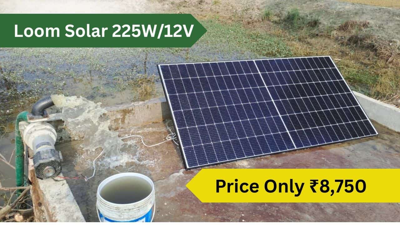 Loom solar 225w for Just rs 8750