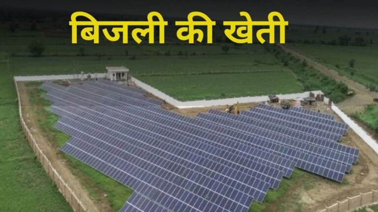 Rajasthan Leads in Solar Power
